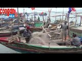 Nghệ An: Thị trường hải sản đang phục hồi