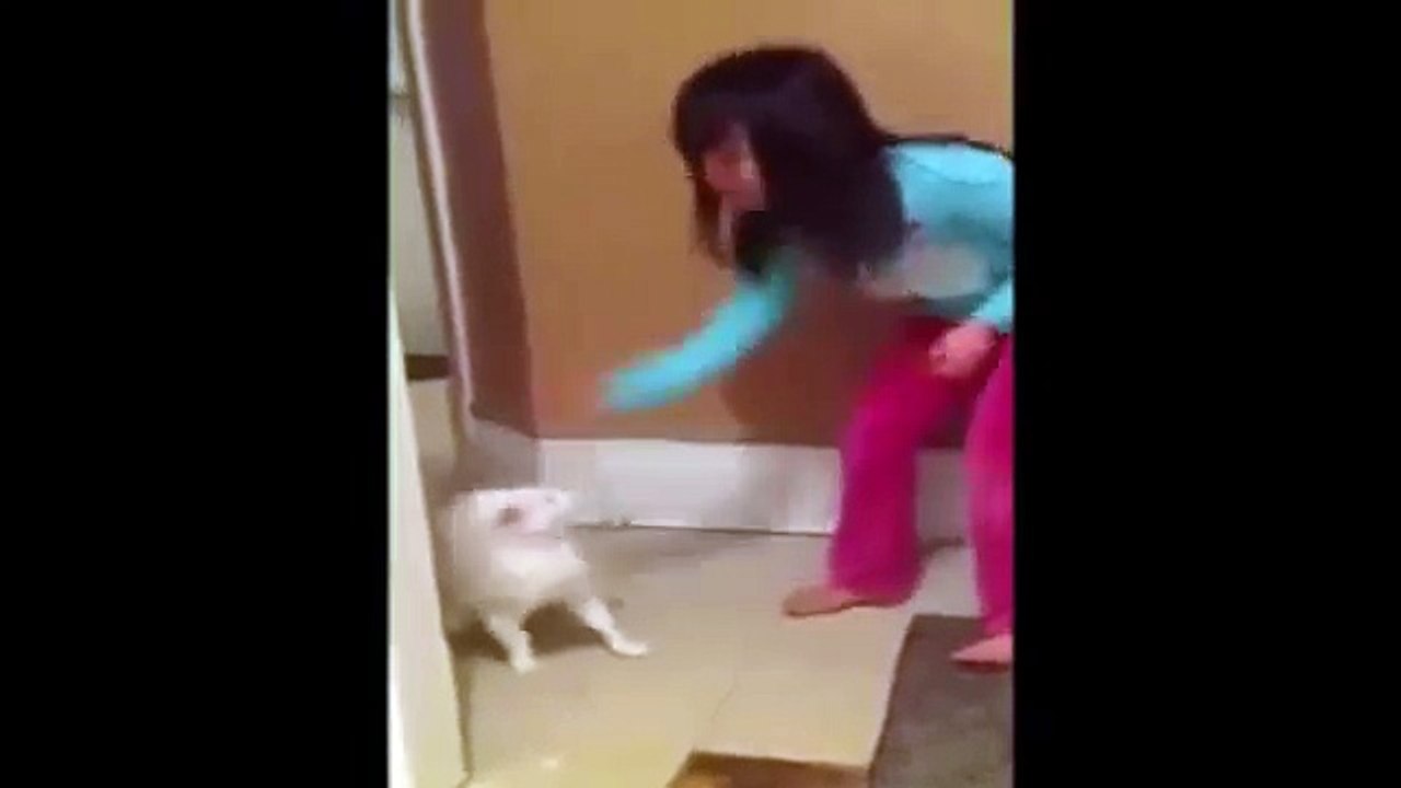 Picchia il suo gattina, ma quello che sta per succederle se lo merita tutto....