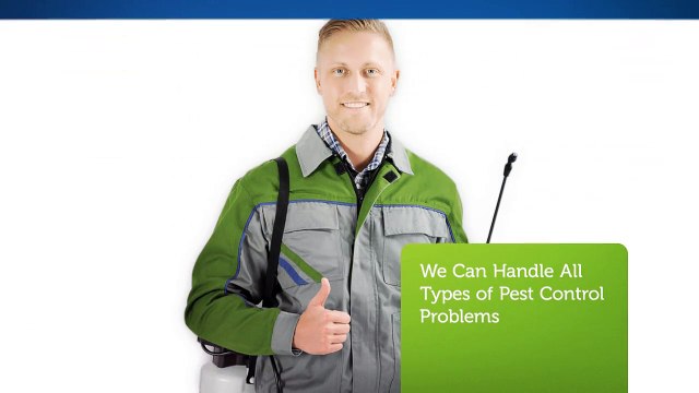 O'Connor Pest Control Service in Oxnard