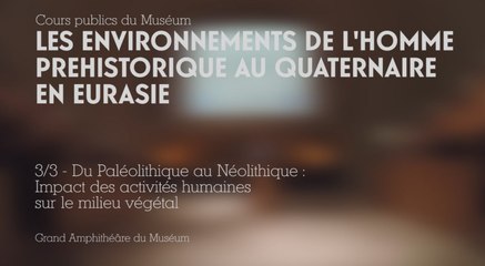 Du Paléolithique au Néolithique : impact des activités humaines sur le milieu végétal (Les environnements de l’Homme préhistorique au Quaternaire en Eurasie 3/3)