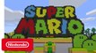 Super Mario Mash-Up Pack for Minecraft - Wii U Edition