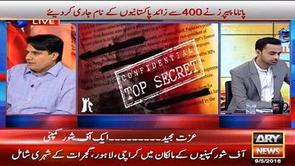Maryam Safdar's Name Once Again in Second List of Panama Leaks