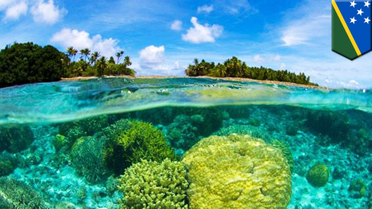 Solomon Islands being swallowed up by ocean as climate change causes sea levels to rise