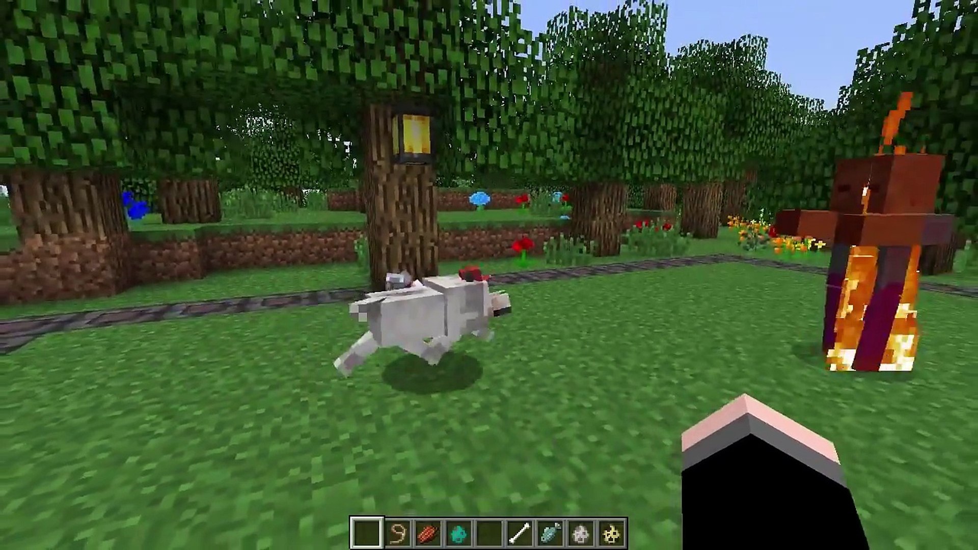 Minecraft Shiba Inu Nyanko Mod Mod Review En 1 7 10 1 8 Video Dailymotion
