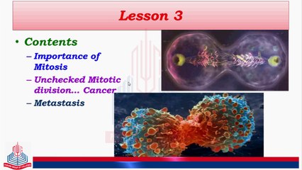 Understanding the Importance of Mitosis in Biology 🧬