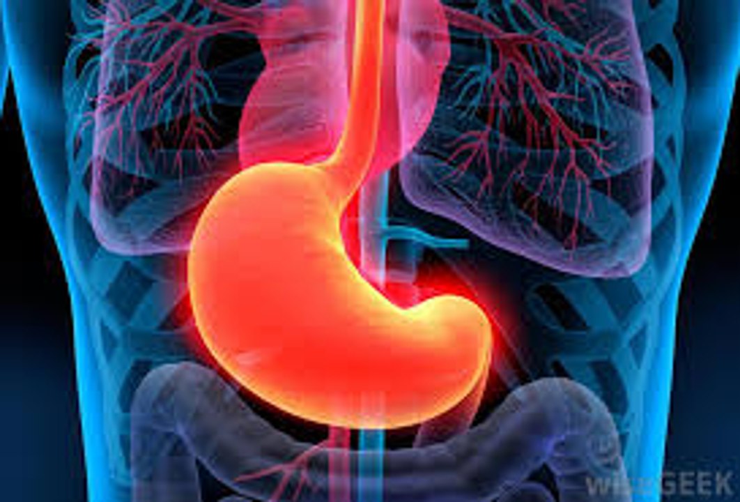 Overview of the Autonomic Nervous System