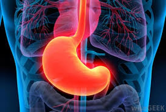 Overview of the Autonomic Nervous System