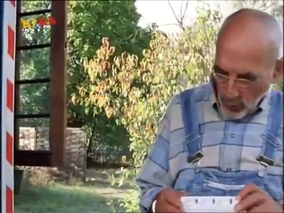 Löwenzahn Classics 151 Peter und die Kraft im Draht