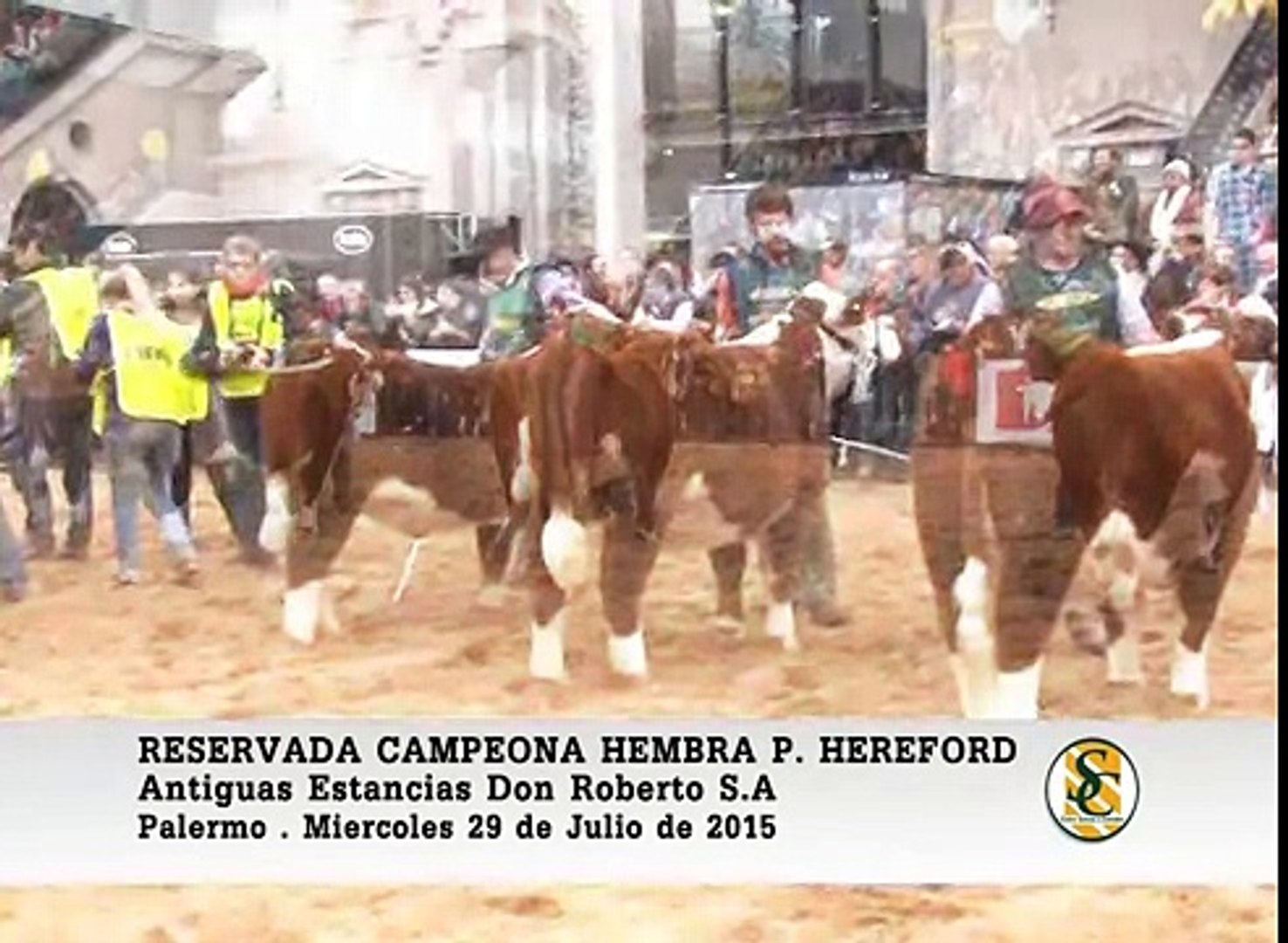 ⁣29-07-15 - Reservado Campeon Hereford - Palermo 2015