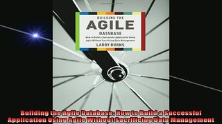 Free PDF Downlaod  Building the Agile Database How to Build a Successful Application Using Agile Without  DOWNLOAD ONLINE