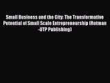 PDF Small Business and the City: The Transformative Potential of Small Scale Entrepreneurship