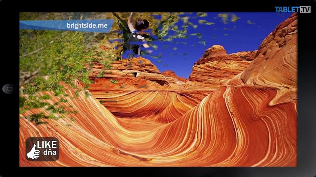 160519-012-089_LIKE_DNA_20160510