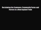 Read Reclaiming the Commons: Community Farms and Forests in a New England Town PDF Free
