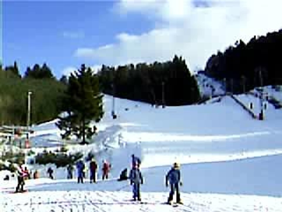 ski