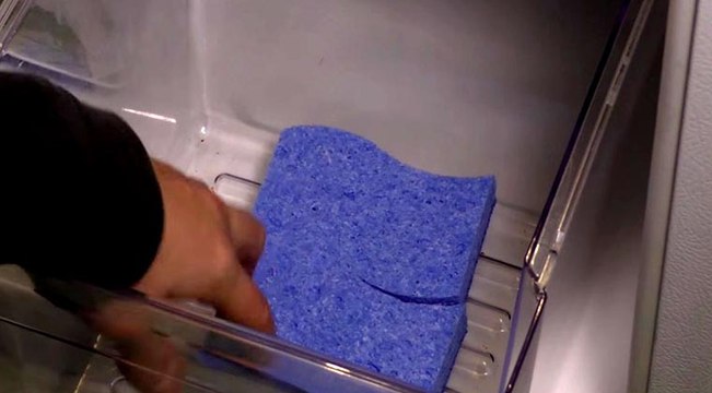 Ele coloca esponjas no fundo do frigorífico... Quando vires a razão vais logo fazer o mesmo! Genial!