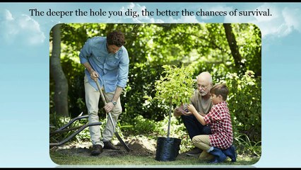 Do you think you're thinking about planting trees?