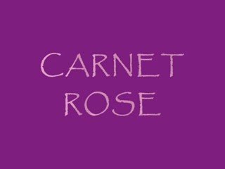 PETIT CHOPIN le bébé chien!