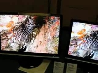 Samsung SyncMaster 226CW