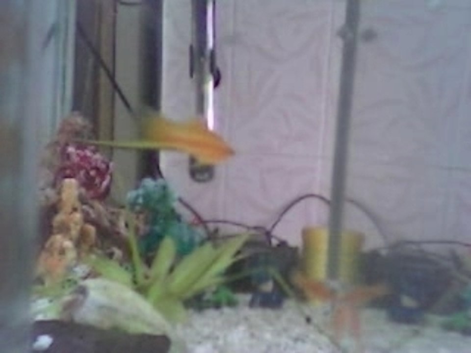 mon ex-aqua