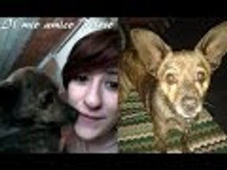 Tag "Il mio amico peloso"