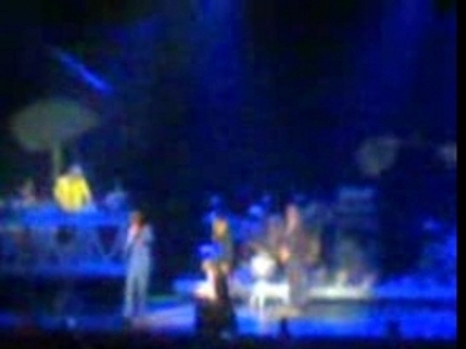 Beastie boys - Paris 2007 (1)