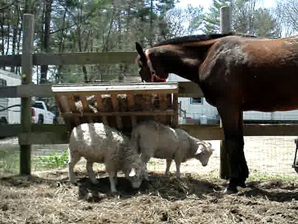 lunch time