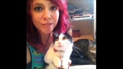 Los Mejores Vines de Gatos del 2015! Recopilación Gatos Graciosos - Dailymotion