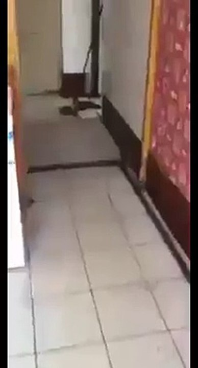 Xã hội bây giờ loạn thật rồi =))Video :Hoàng HIếu