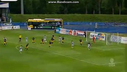 Mally GOAL (0:0) FC Magna Wiener Neustadt vs Liefering (2016.05.10)