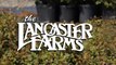 Lancaster Farms: Week 17, 2010: Herbs and Veggies