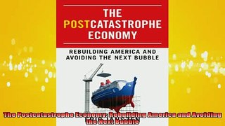 READ book  The Postcatastrophe Economy Rebuilding America and Avoiding the Next Bubble Full EBook