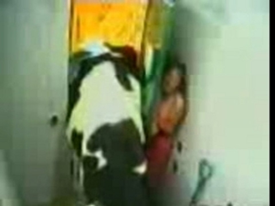 29