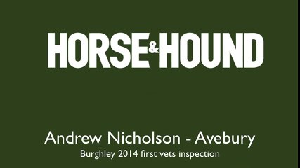 Andrew Nicholson — Burghley 2014 — first vets inspection