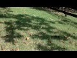 Before we start cuting yard in Rome Ga