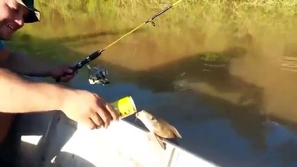 Cette vidéo est tellement insolite que vous n'en reviendrez pas !