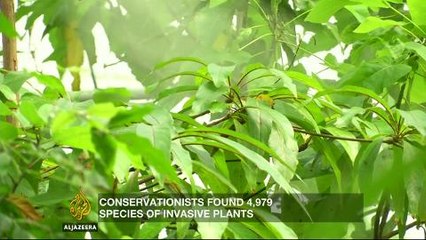 How should plants be protected in a changing world?