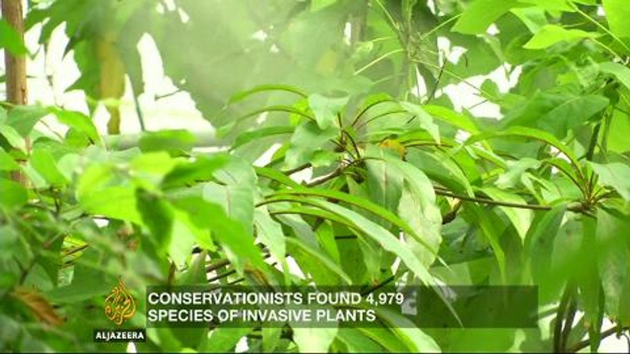How should plants be protected in a changing world?