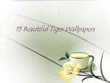15 Beautiful Tiger Wallpapers