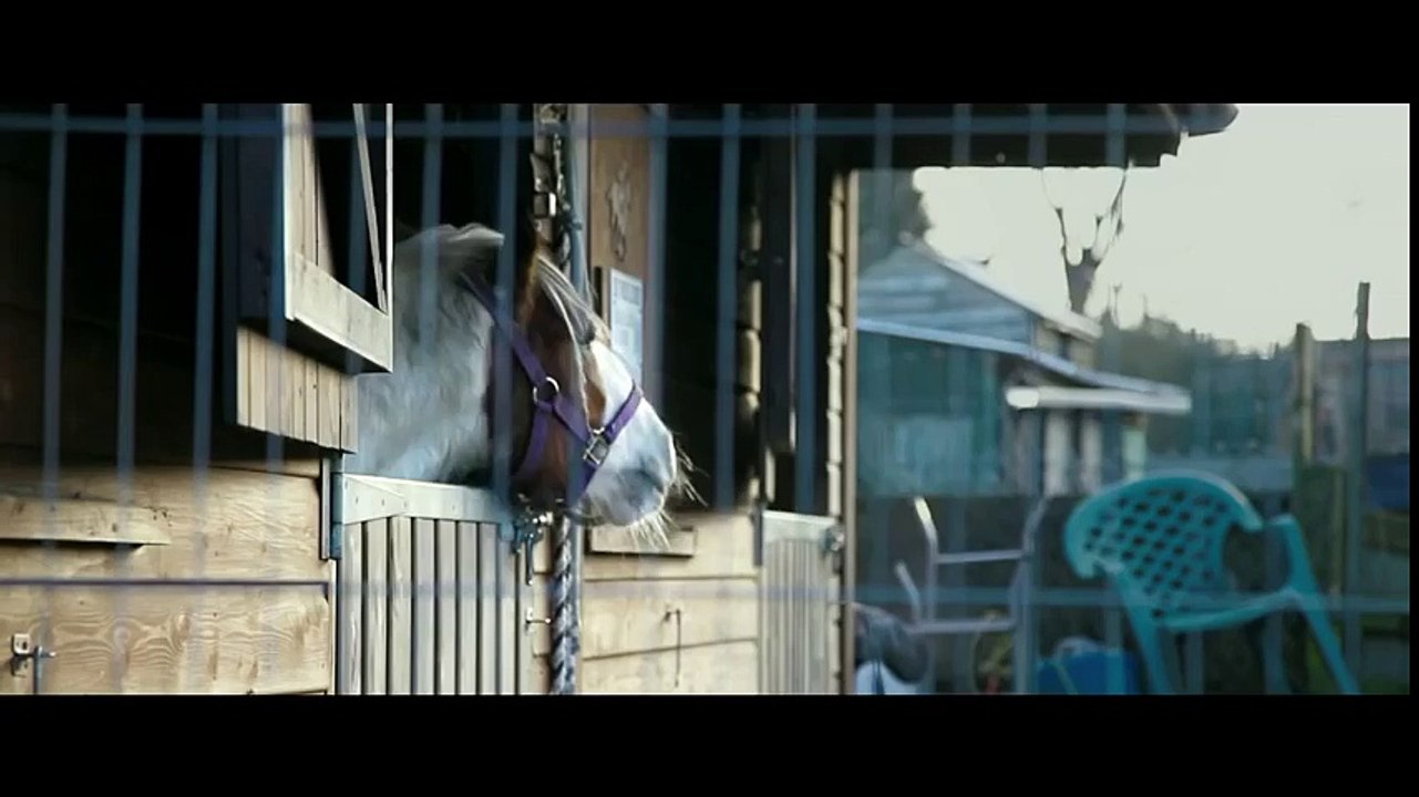 Trailer Dark Horse Internacional-PLAY FILMES