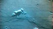 The Apollo 11 Lunar Module crew perform a position check during descent to the lunar surface
