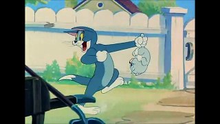 Tom and Jerry, 44 Episode - Love That Pup (1949)