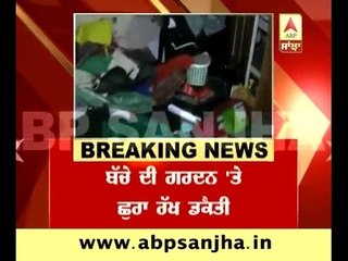 Agra: Loot in University clerk's home