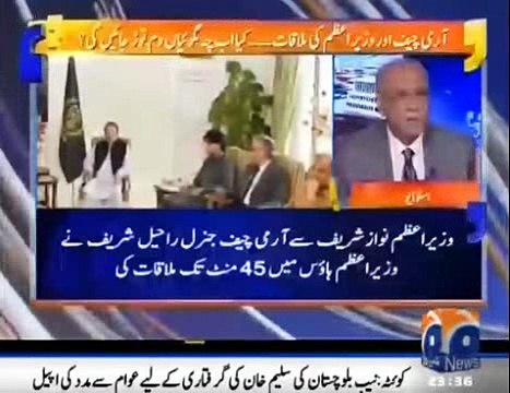 Najam Sethi Thrashes Reporters/Anchors for Speculatin on PM-Army Chief Meeting and Reveals if Panama Leaks were Discusse