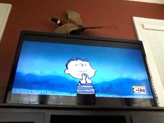 Peanuts S1E4