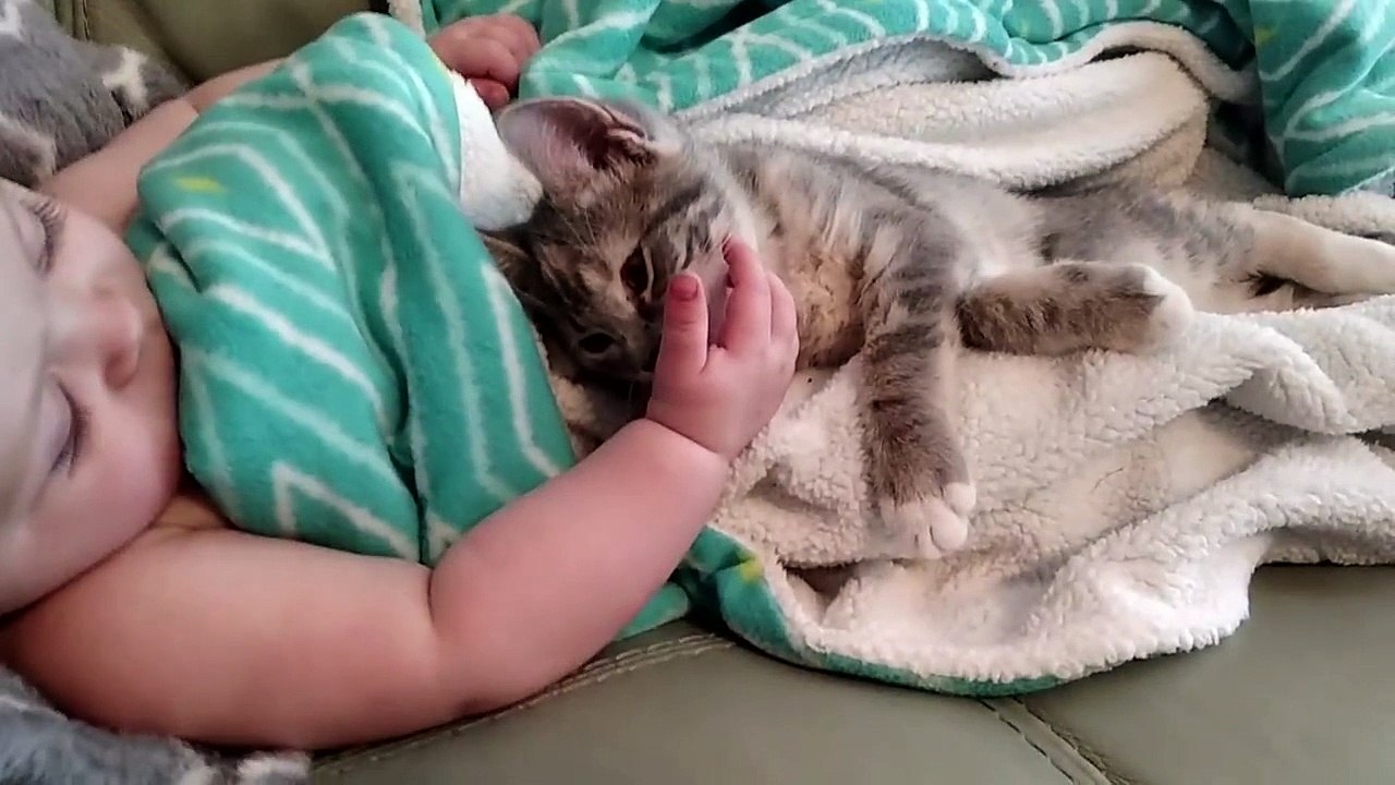Cute Cat and Baby Sleeping Together