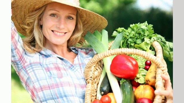 Lake City FL Vitamins Gainesville