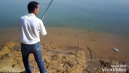 wooow wonderfull fish