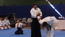 Aikido con Mori Shihan