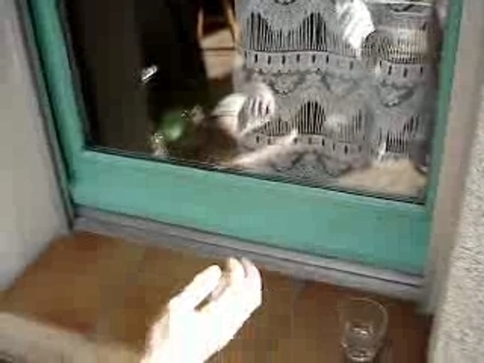 Extreme ping pong