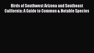 PDF Birds of Southwest Arizona and Southeast California: A Guide to Common & Notable Species